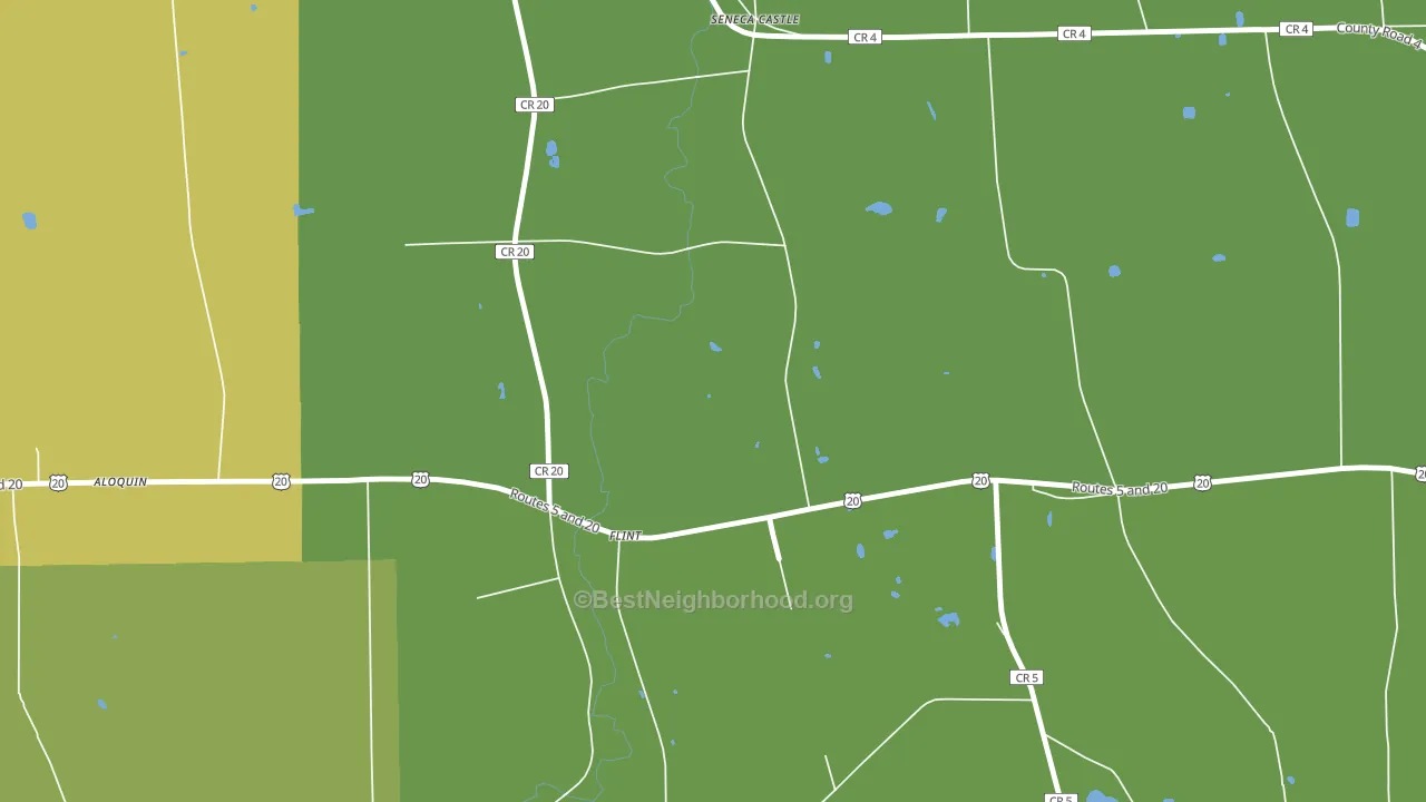 Flint, NY block-group voter-turnout map