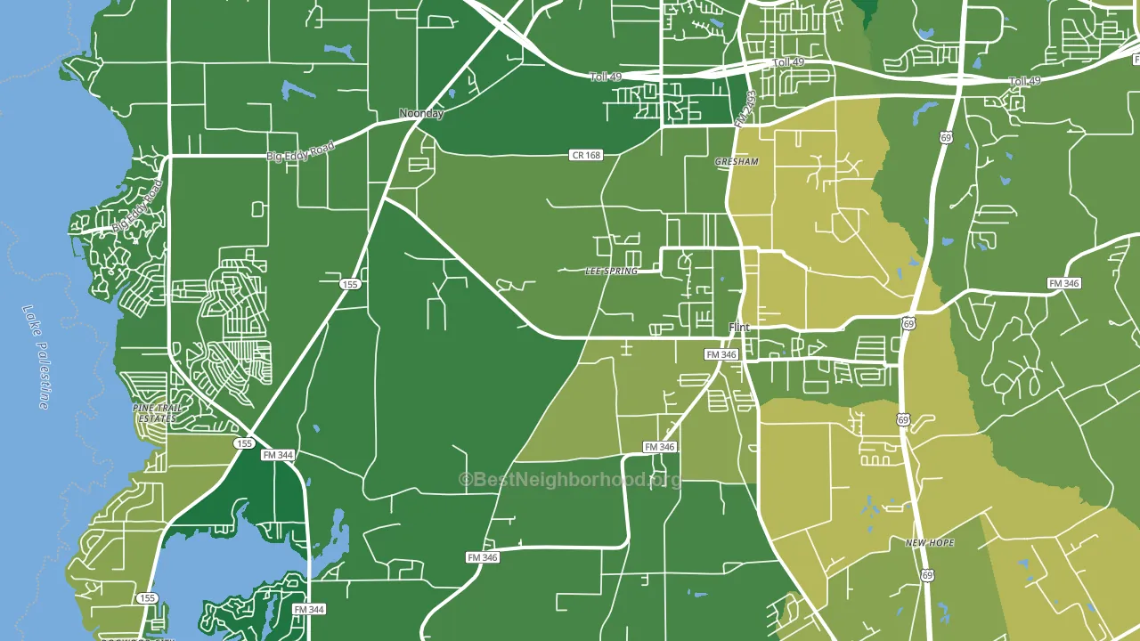 Flint, TX block-group voter-turnout map