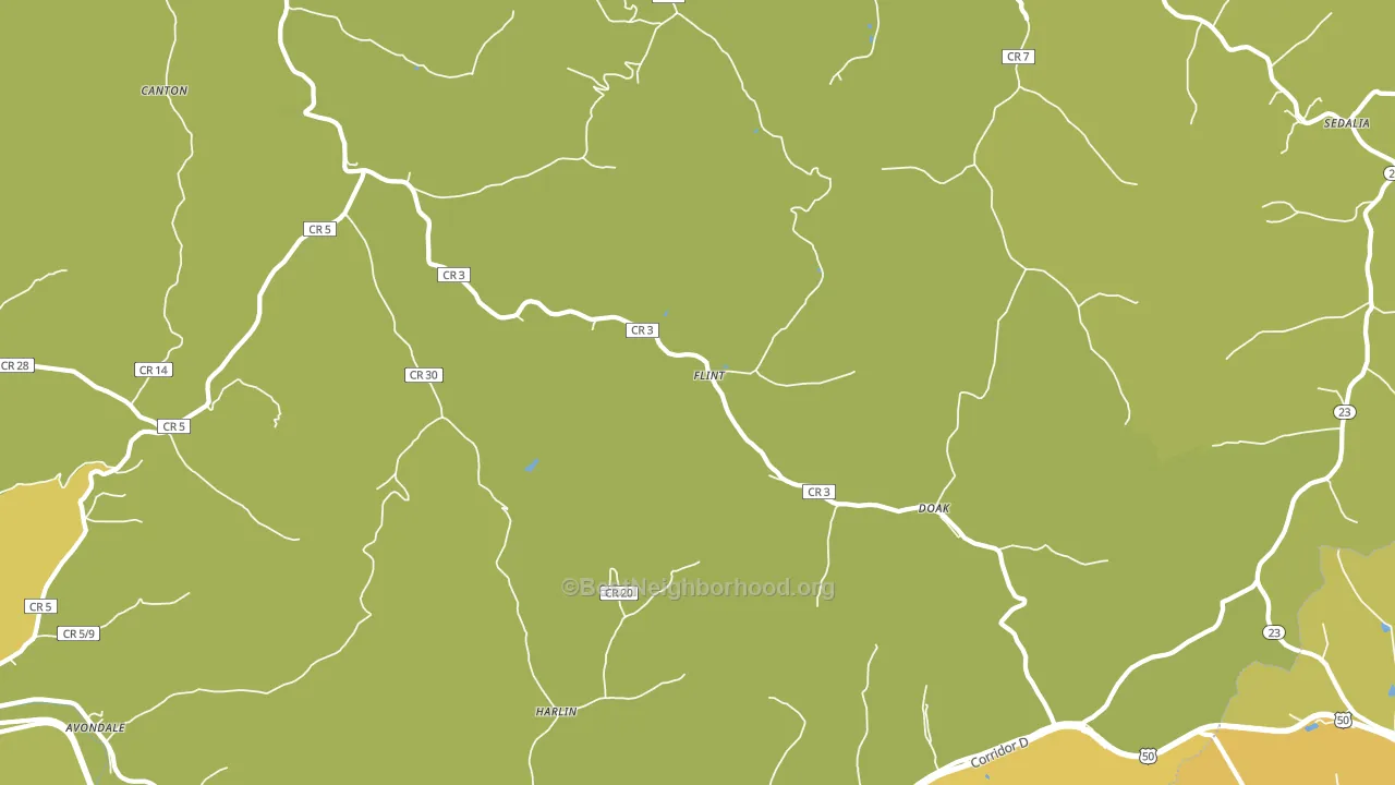 Flint, WV block-group voter-turnout map