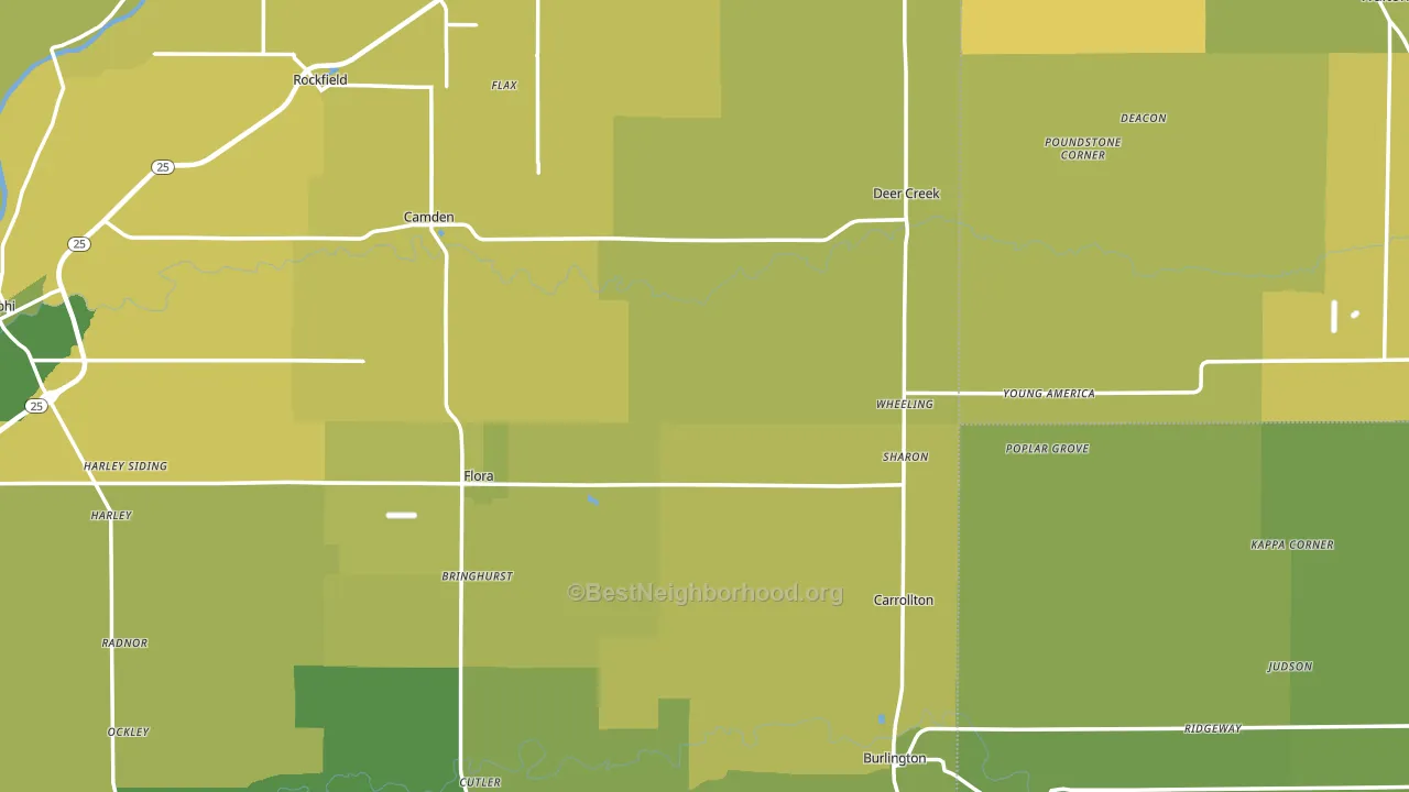 Flora, IN block-group voter-turnout map