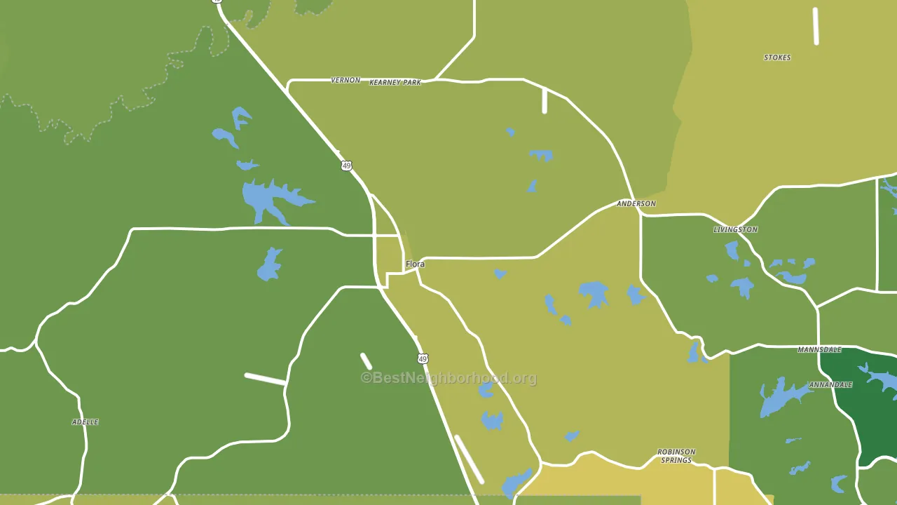 Flora, MS block-group voter-turnout map