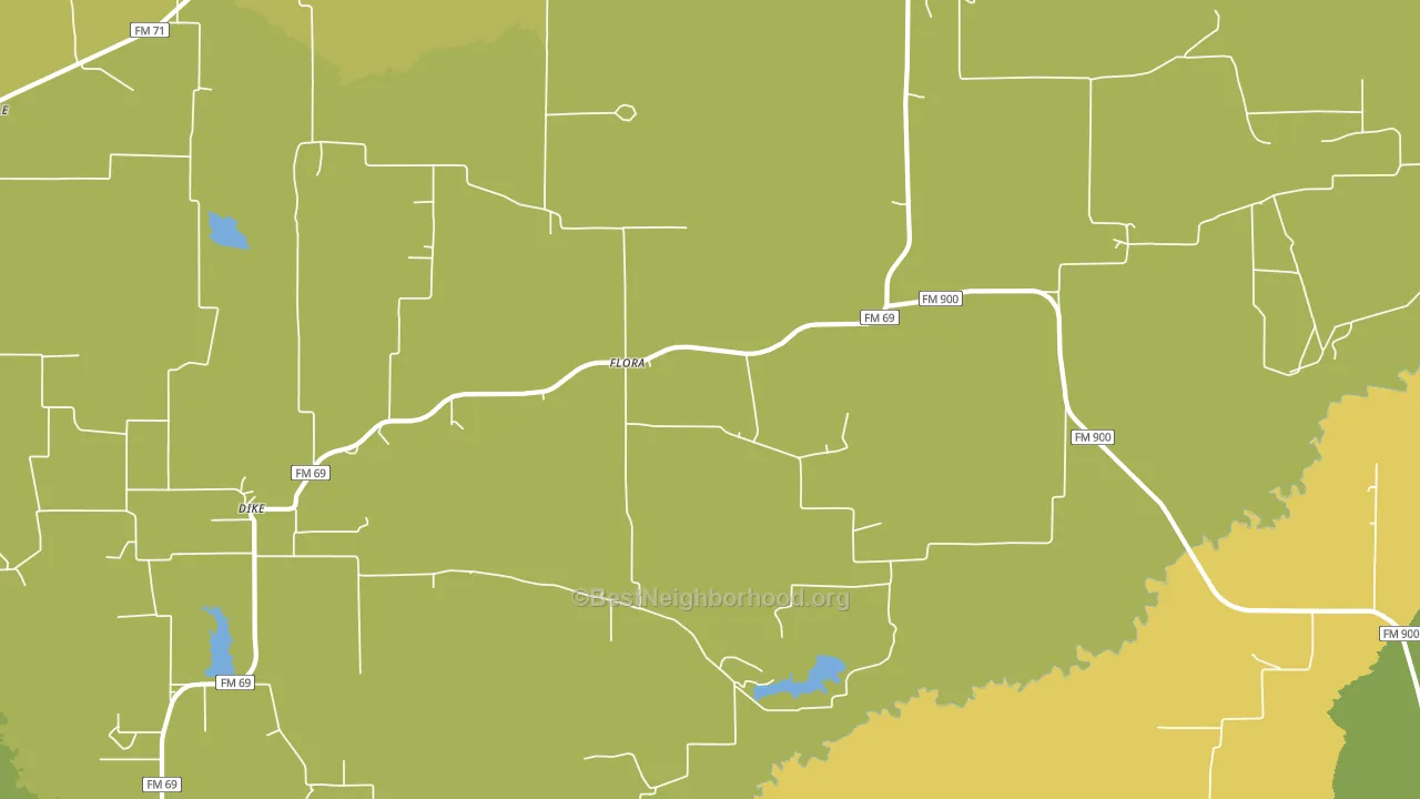 Flora, TX block-group voter-turnout map