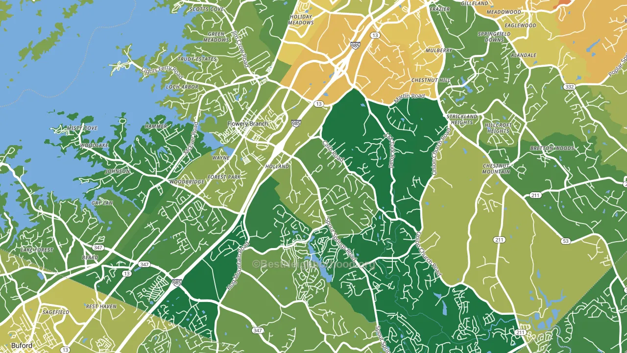 Flowery Branch, GA block-group voter-turnout map
