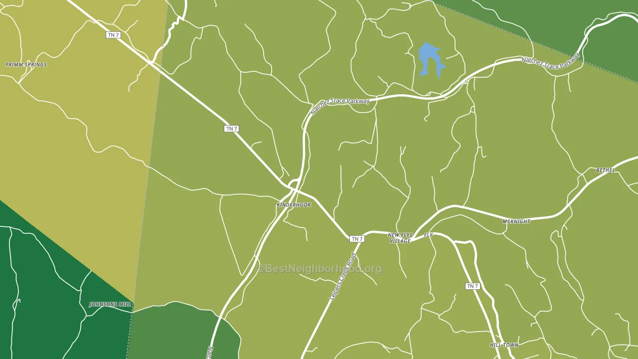 Fly, TN block-group voter-turnout map