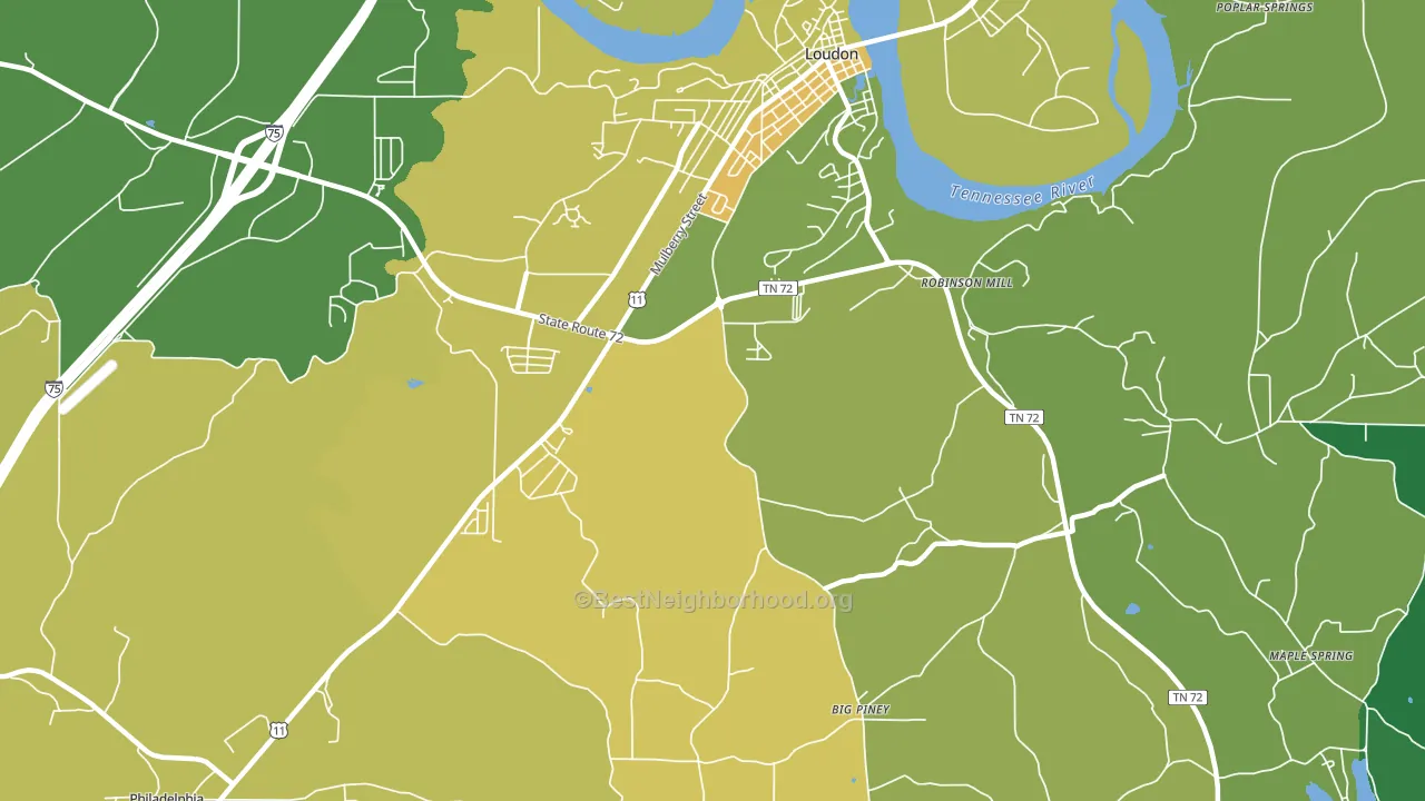 Fochee, TN block-group voter-turnout map
