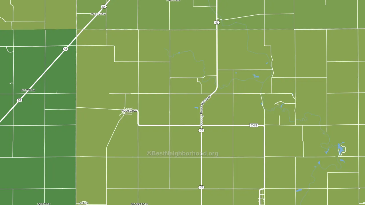 Foosland, IL block-group voter-turnout map