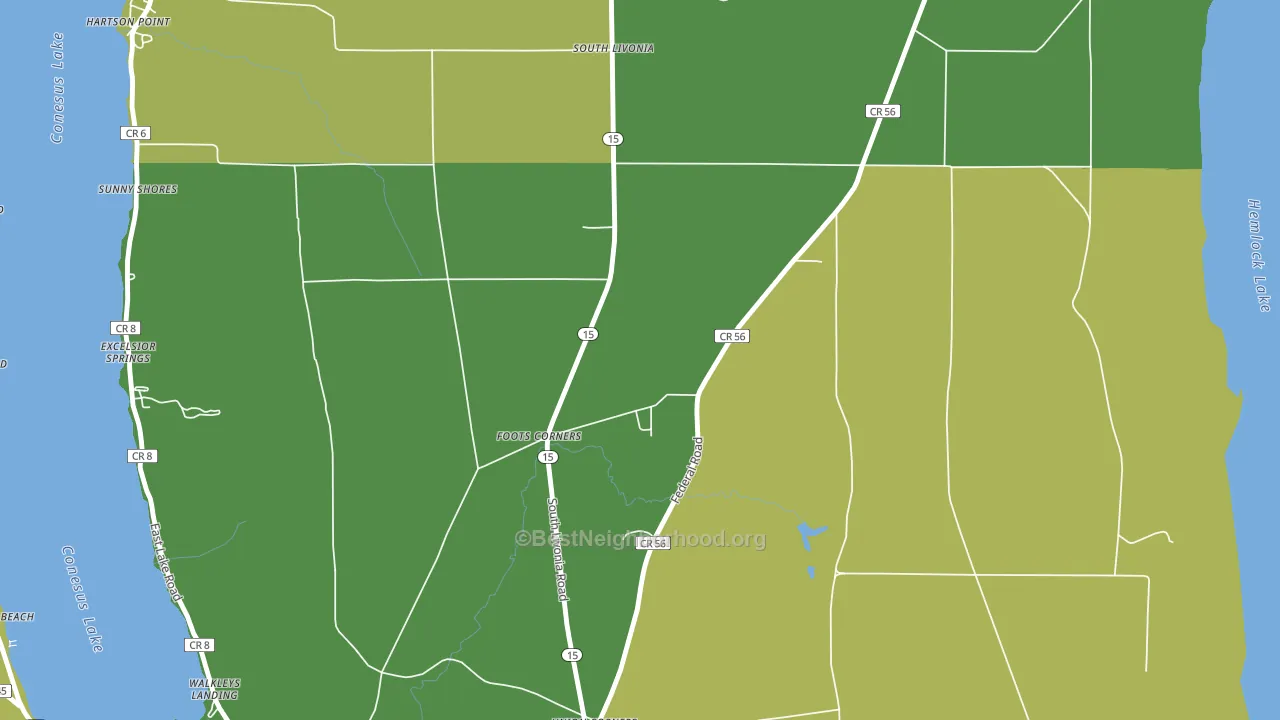 Foots Corners, NY block-group voter-turnout map