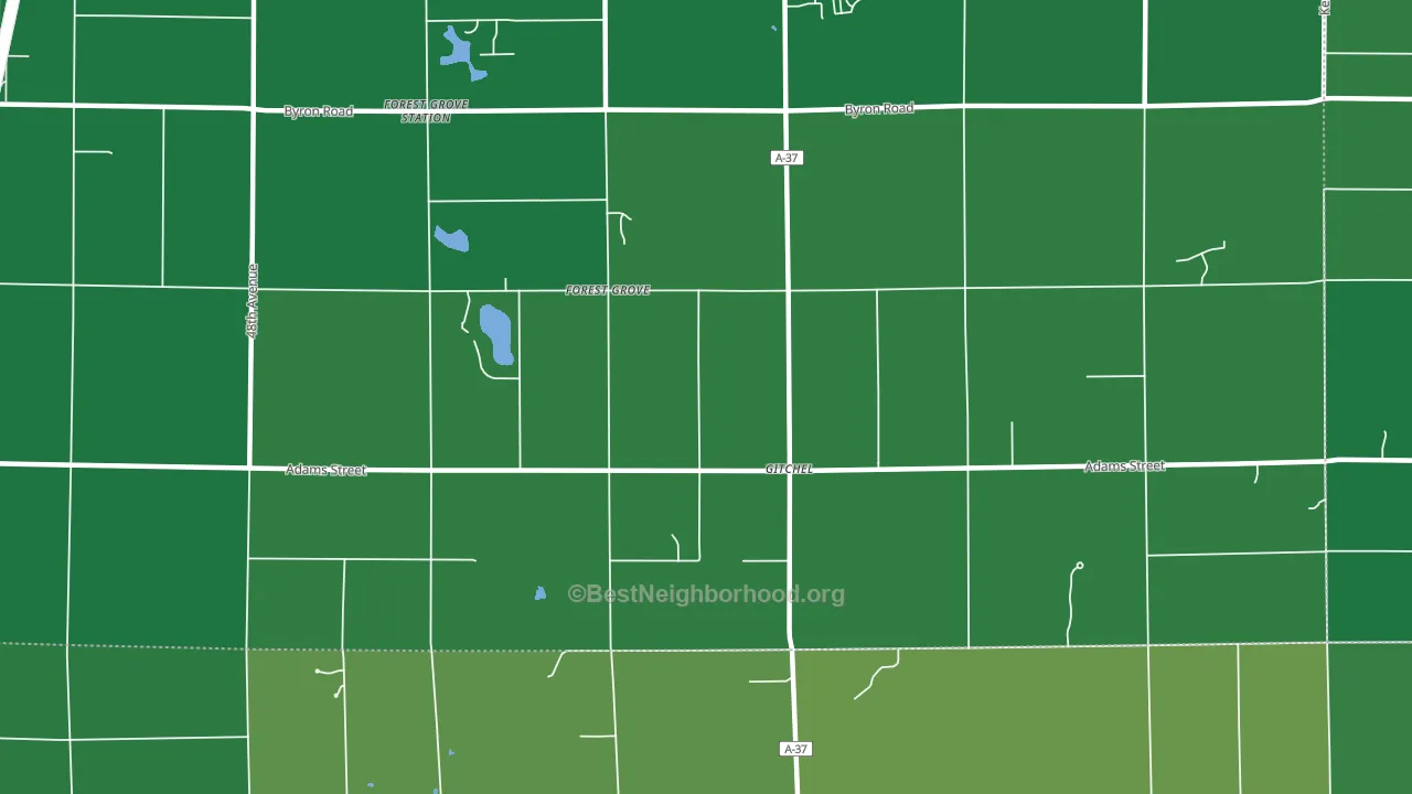 Forest Grove, MI block-group voter-turnout map