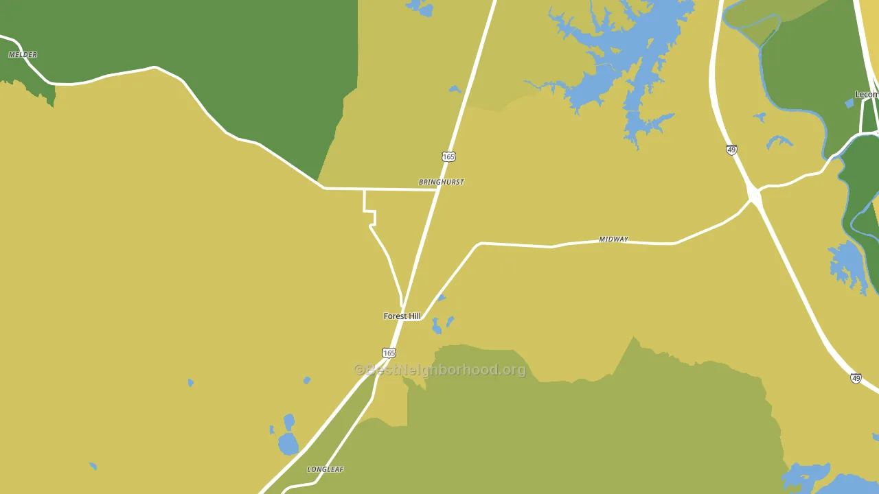 Forest Hill, LA block-group voter-turnout map