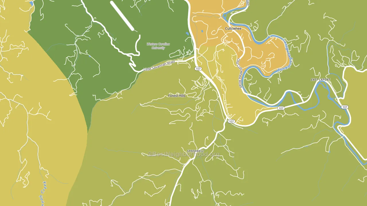Forest Hills, NC block-group voter-turnout map