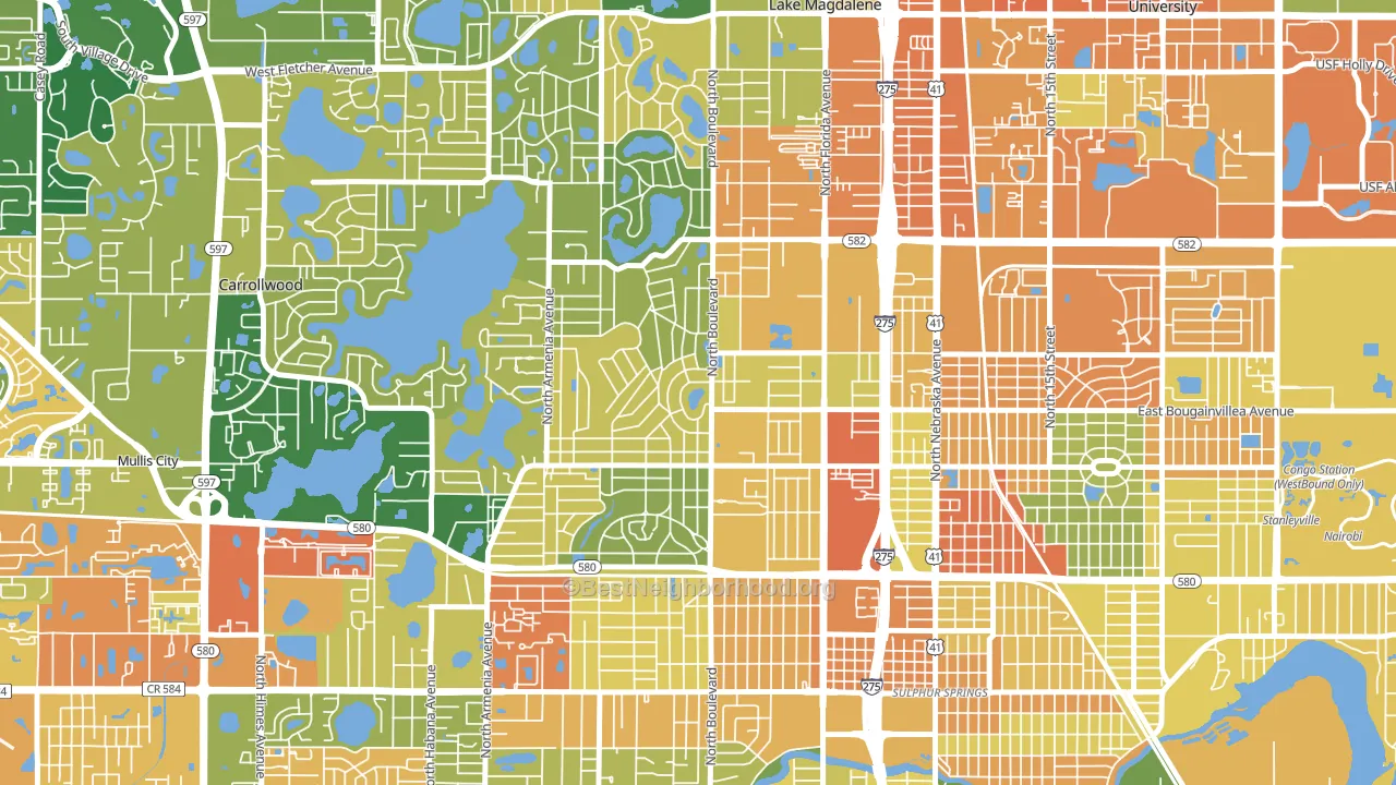 Forest Hills, Tampa, FL block-group voter-turnout map