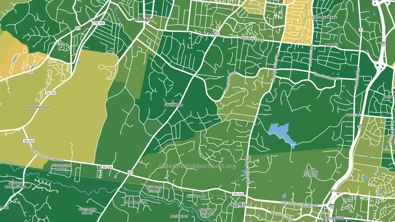 Forest Hills, TN block-group voter-turnout map