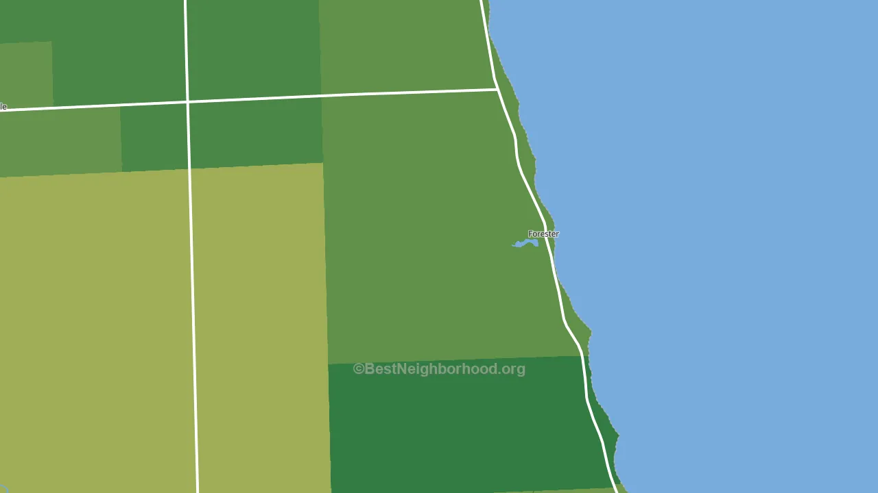 Forester, MI block-group voter-turnout map