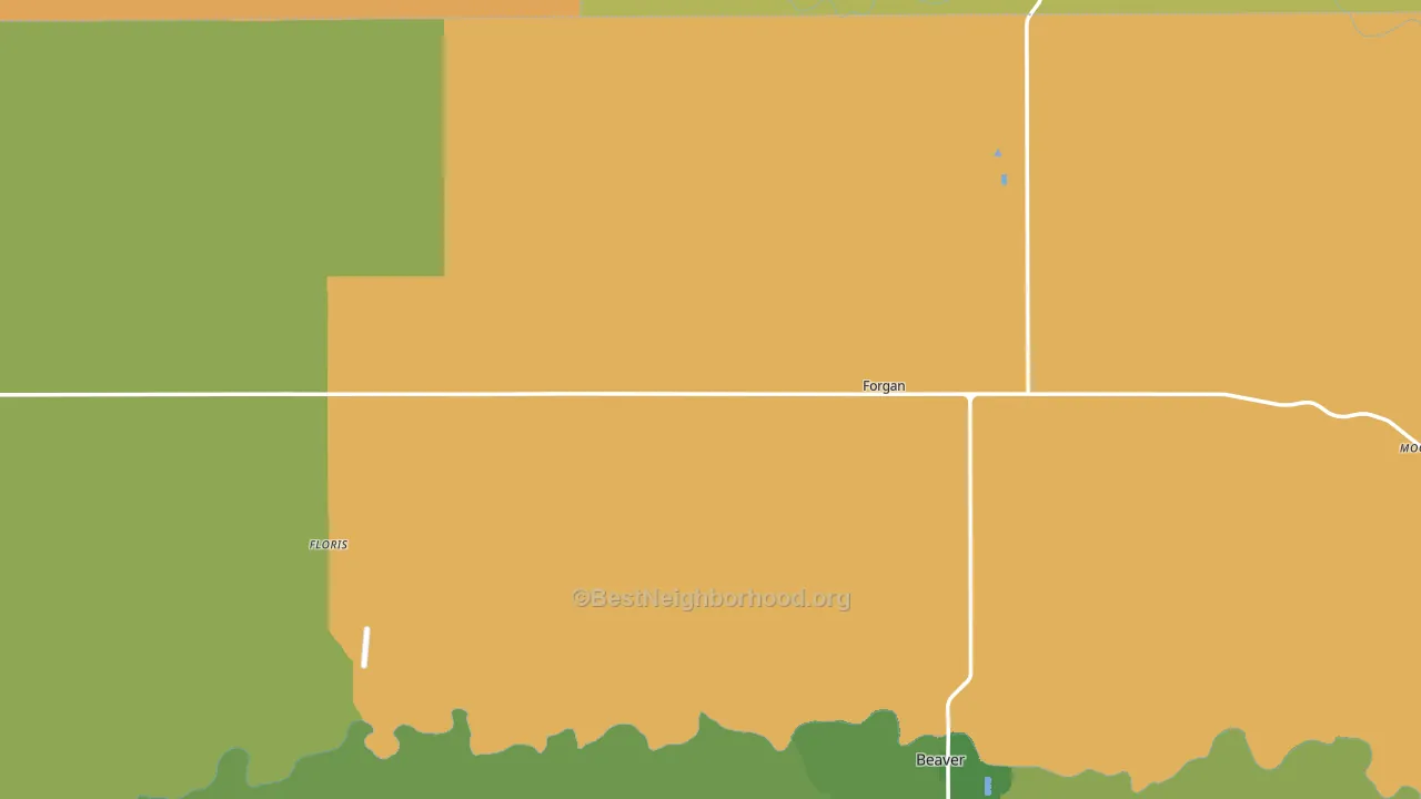 Forgan, OK block-group voter-turnout map
