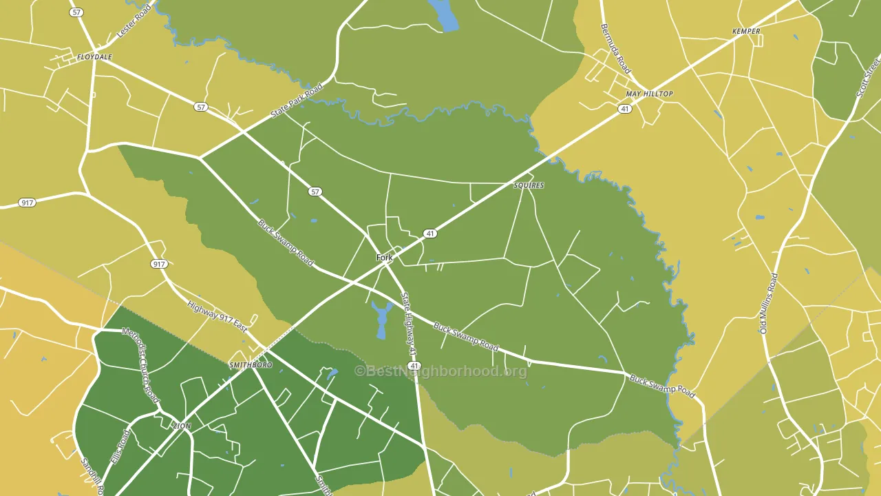 Fork, SC block-group voter-turnout map