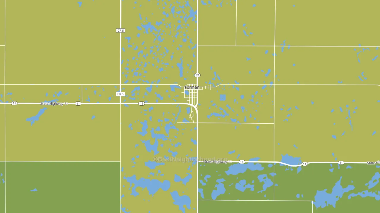 Forman, ND block-group voter-turnout map