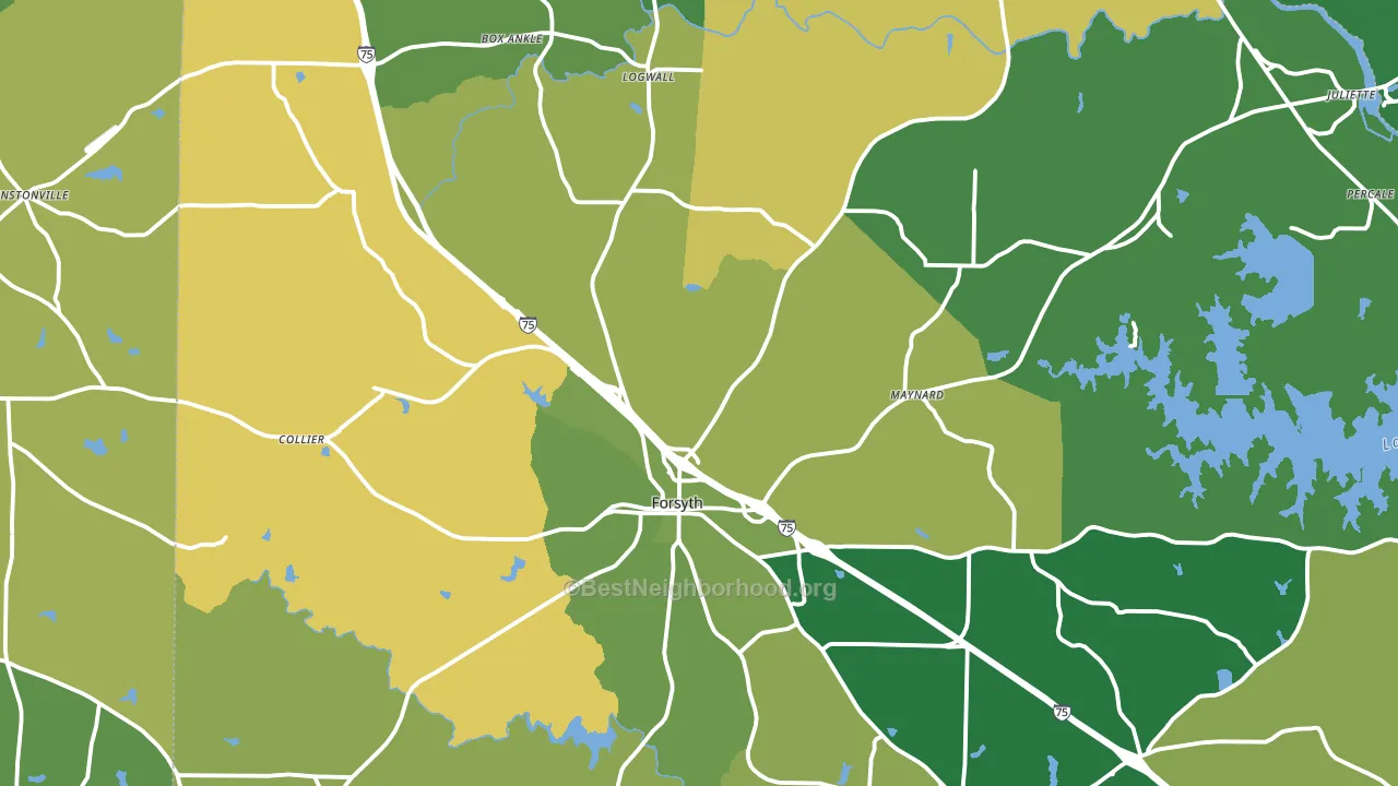 Forsyth, GA block-group voter-turnout map