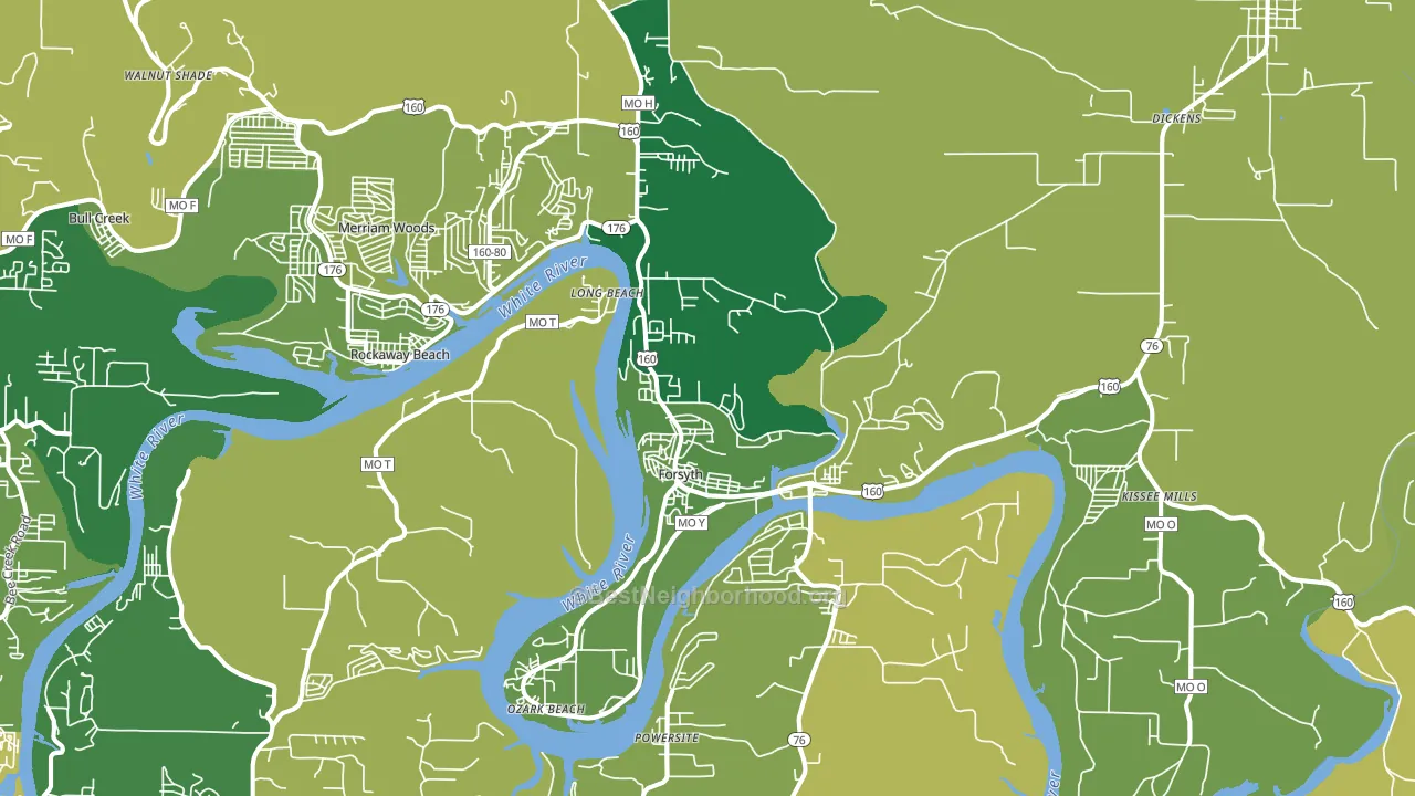 Forsyth, MO block-group voter-turnout map