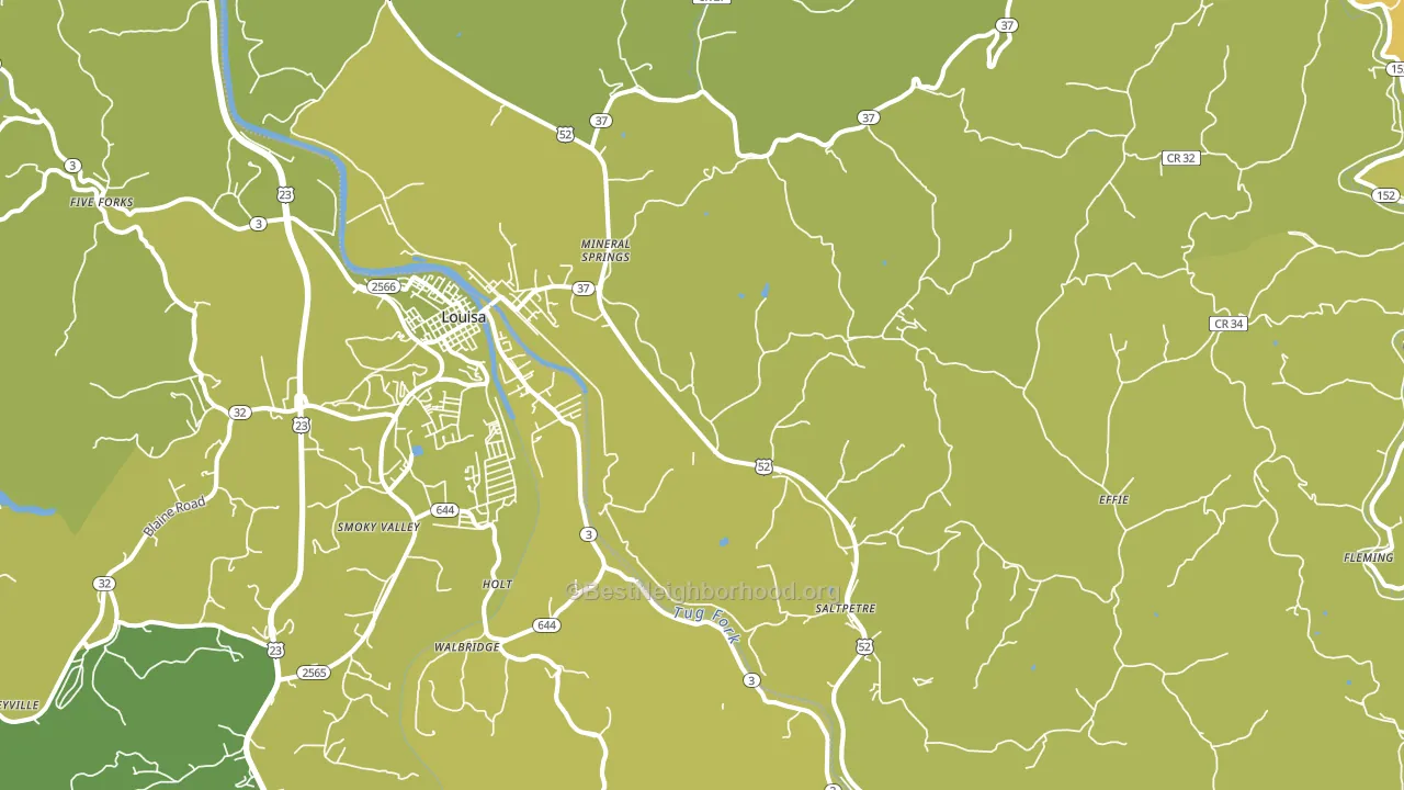 Fort Gay, WV block-group voter-turnout map