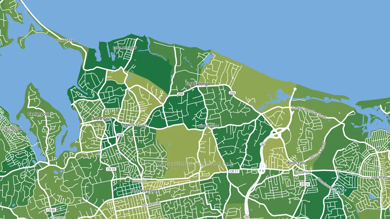 Fort Salonga, NY block-group voter-turnout map