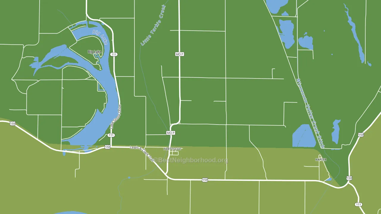 Fortescue, MO block-group voter-turnout map