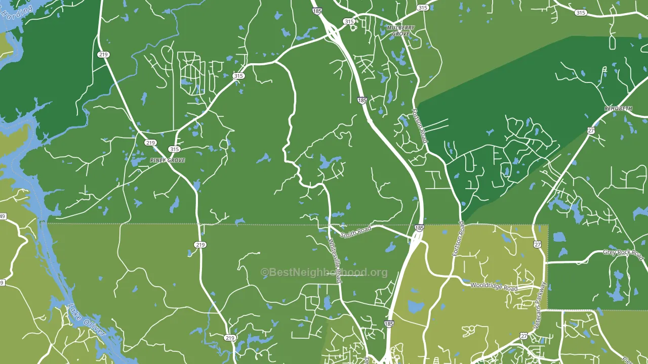 Fortson, GA block-group voter-turnout map