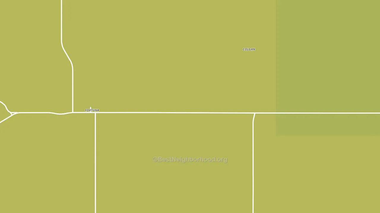 Fortuna, ND block-group voter-turnout map