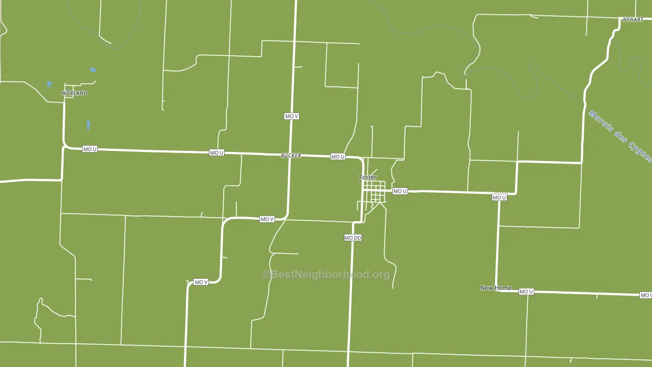 Foster, MO block-group voter-turnout map