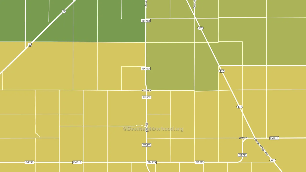 Foster, TX block-group voter-turnout map