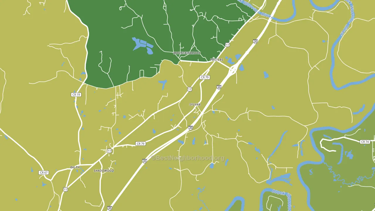 Fosters, AL block-group voter-turnout map