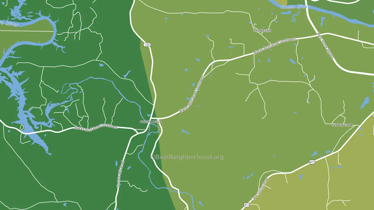 Fosters Mills, GA block-group voter-turnout map