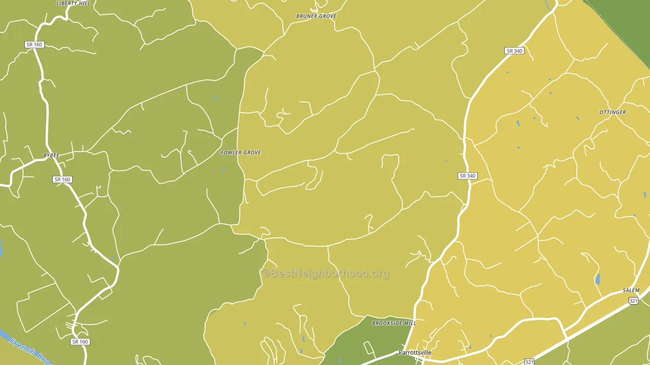 Fowler Grove, TN block-group voter-turnout map