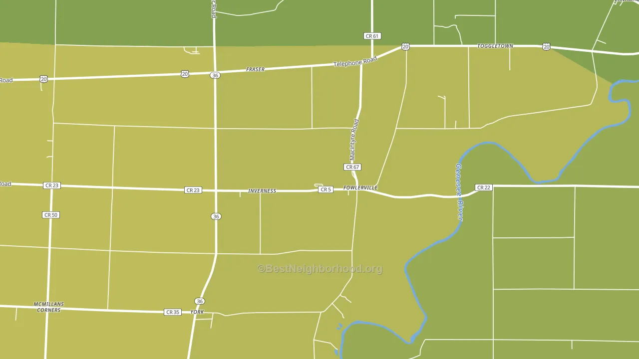 Fowlerville, NY block-group voter-turnout map