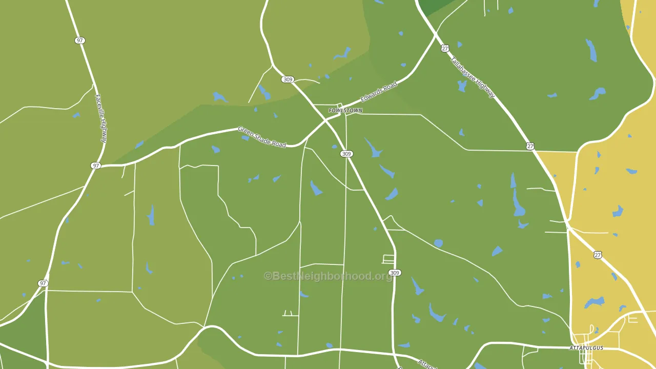 Fowlstown, GA block-group voter-turnout map