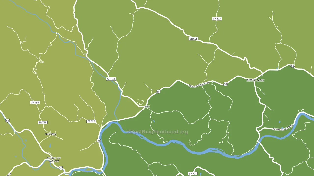 Fox, VA block-group voter-turnout map