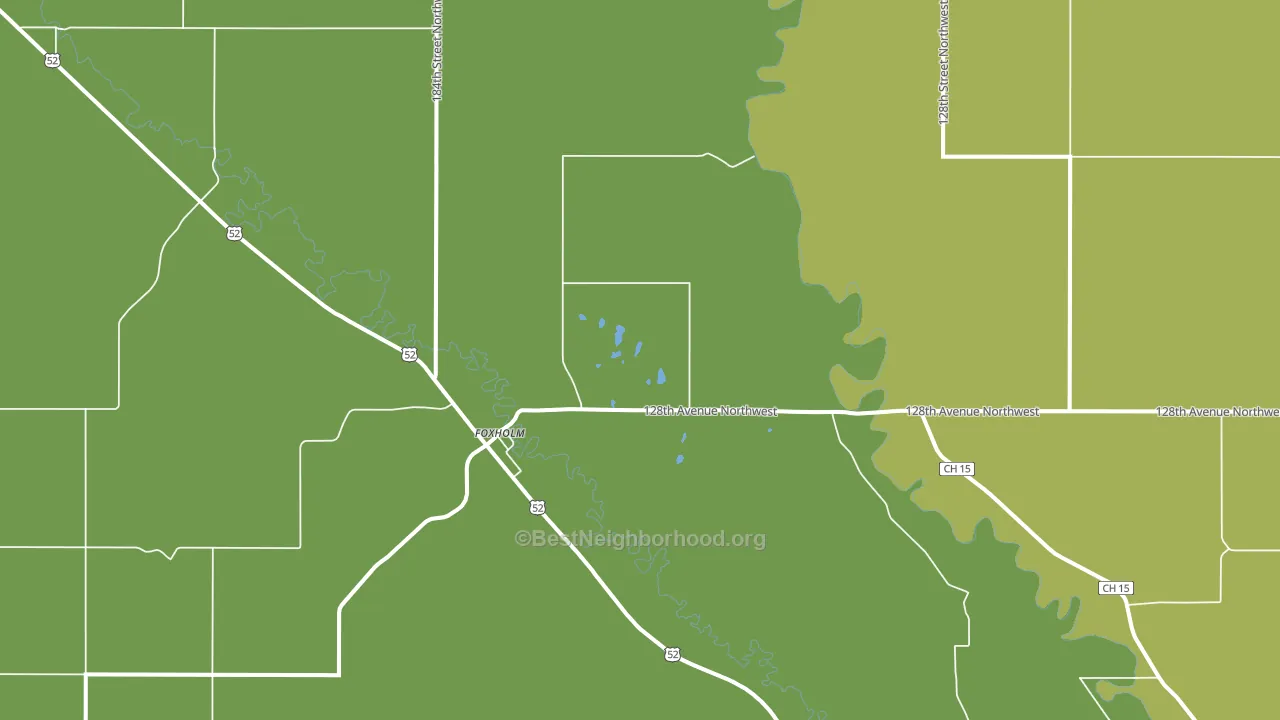 Foxholm, ND block-group voter-turnout map