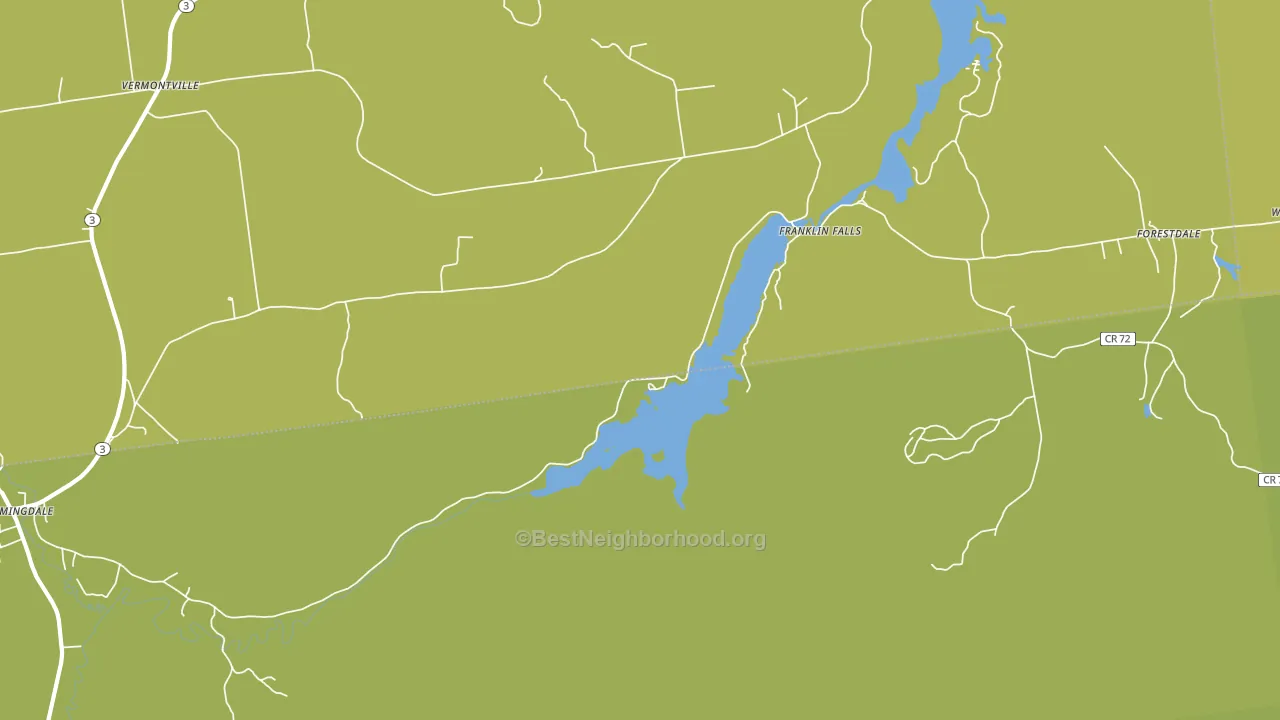 Franklin Falls, NY block-group voter-turnout map