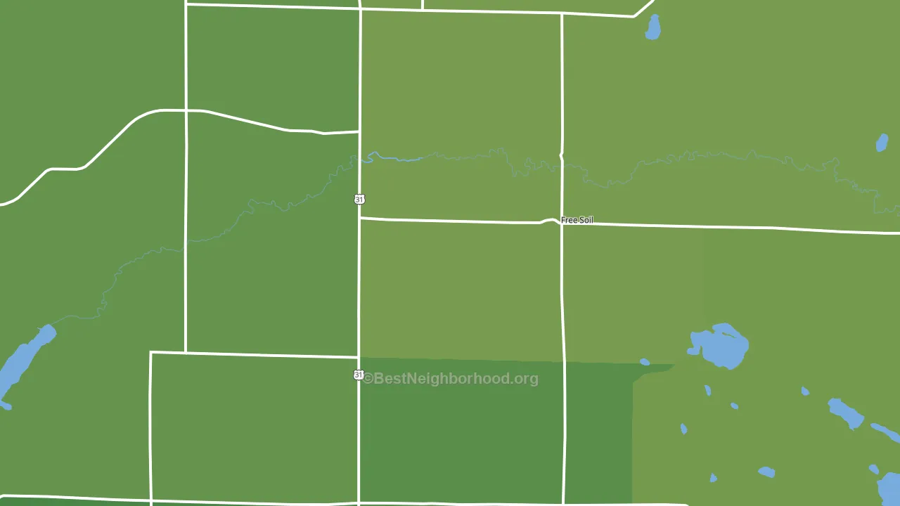 Free Soil, MI block-group voter-turnout map