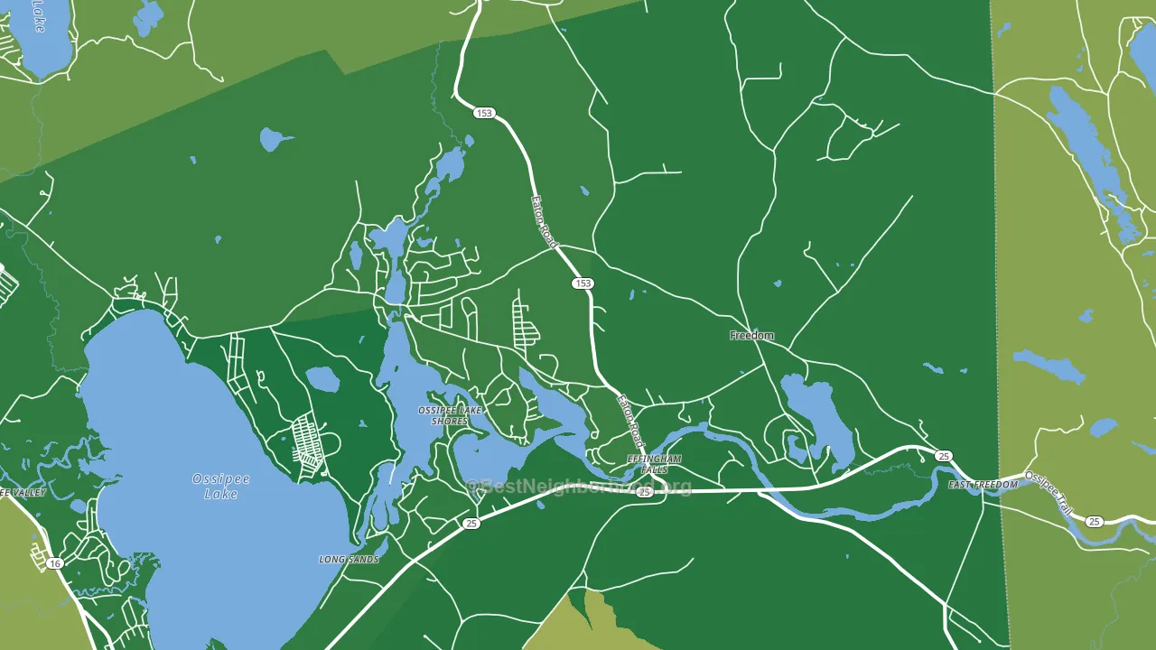 Freedom, NH block-group voter-turnout map