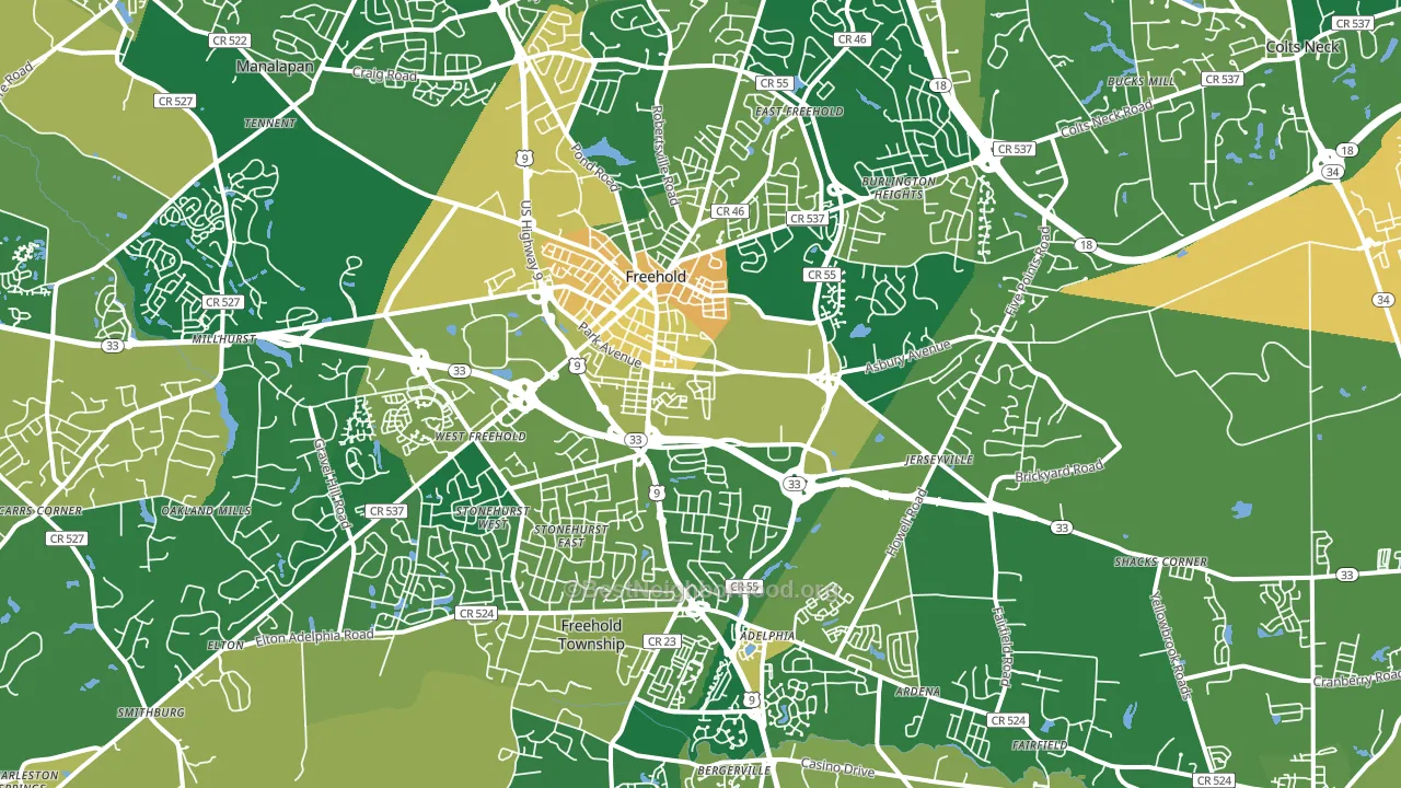 Freehold, NJ block-group voter-turnout map