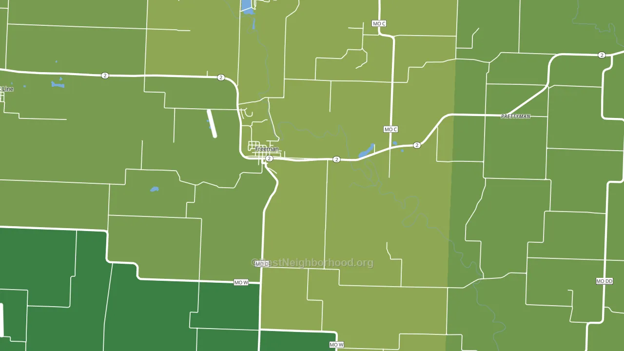 Freeman, MO block-group voter-turnout map