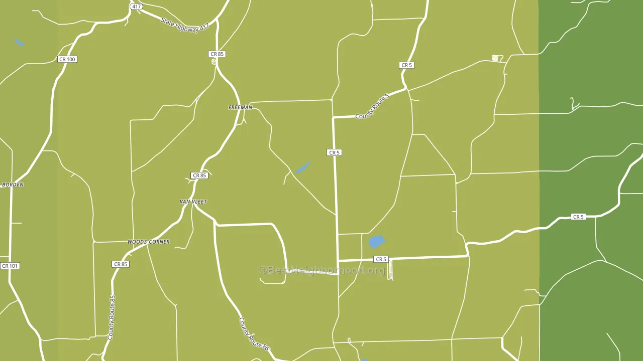 Freeman, NY block-group voter-turnout map