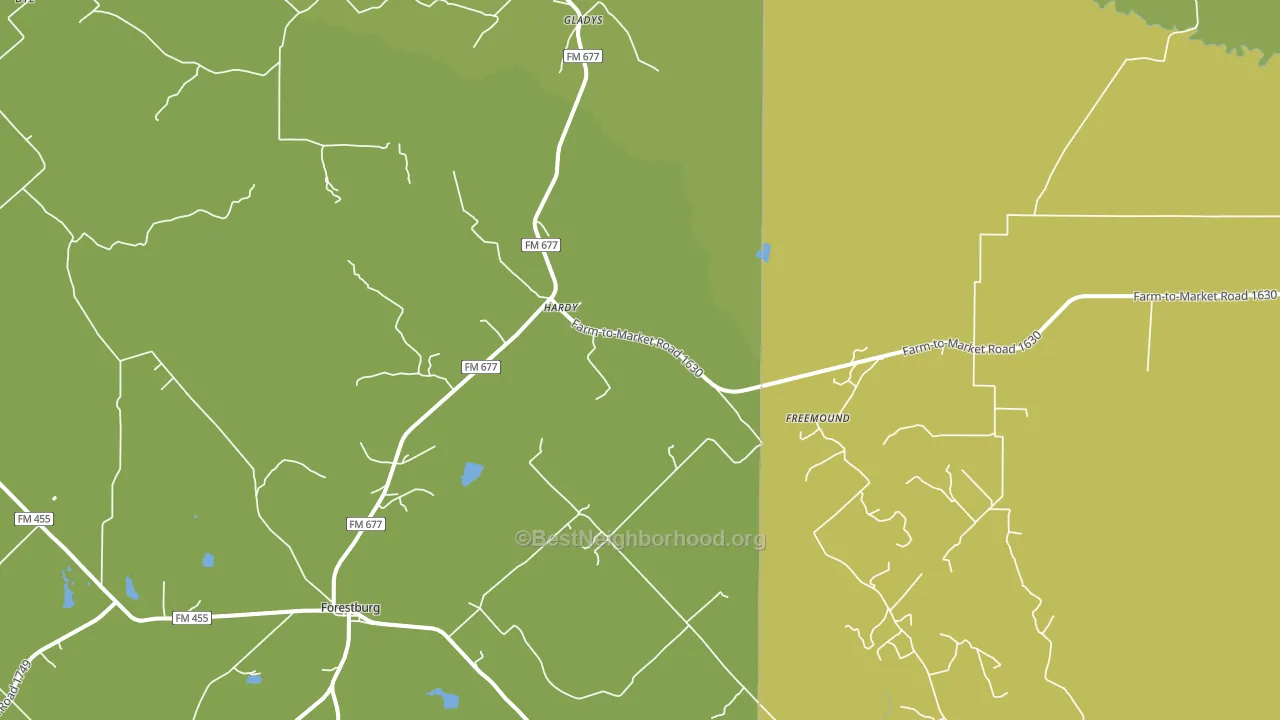 Freemound, TX block-group voter-turnout map