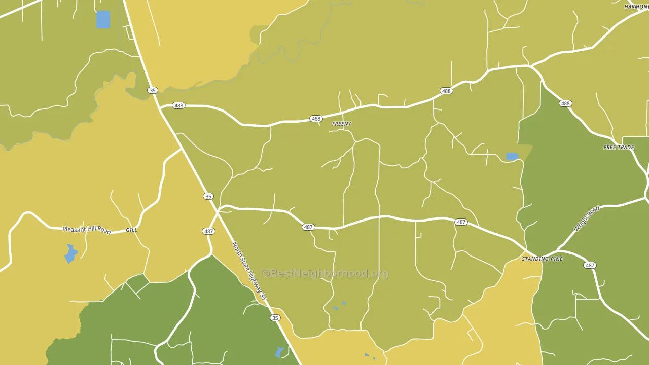 Freeny, MS block-group voter-turnout map
