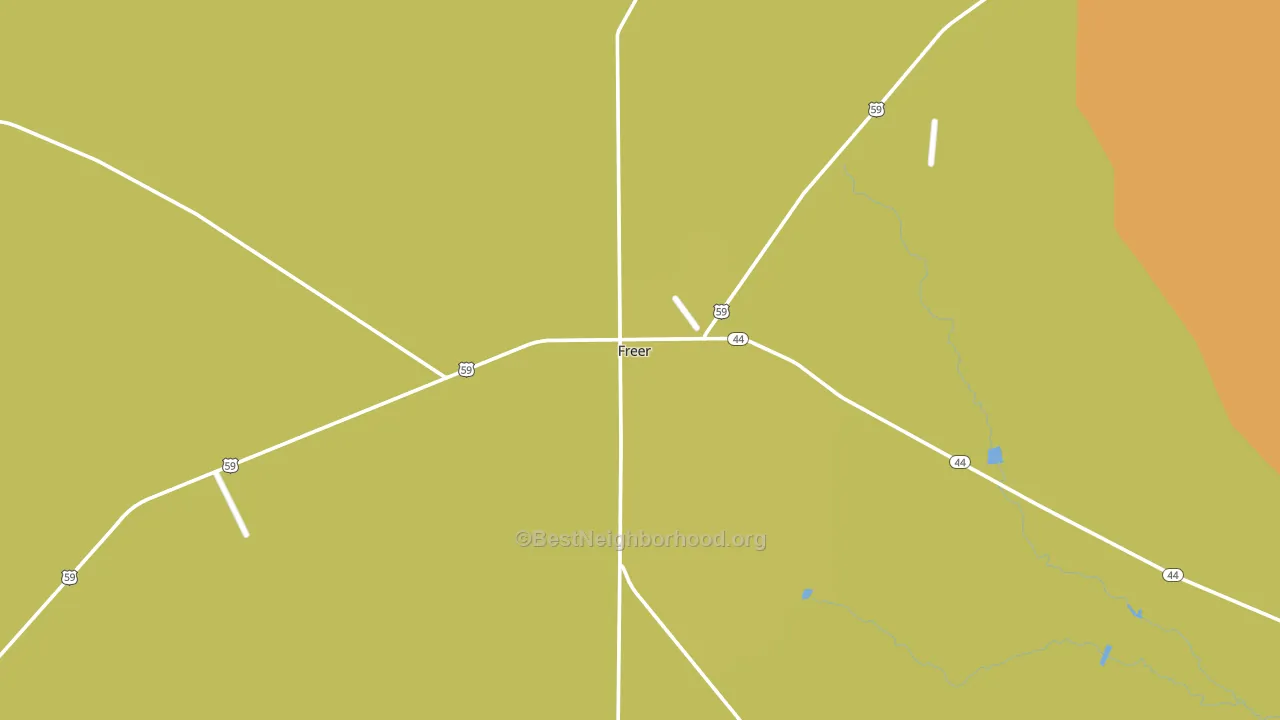Freer, TX block-group voter-turnout map