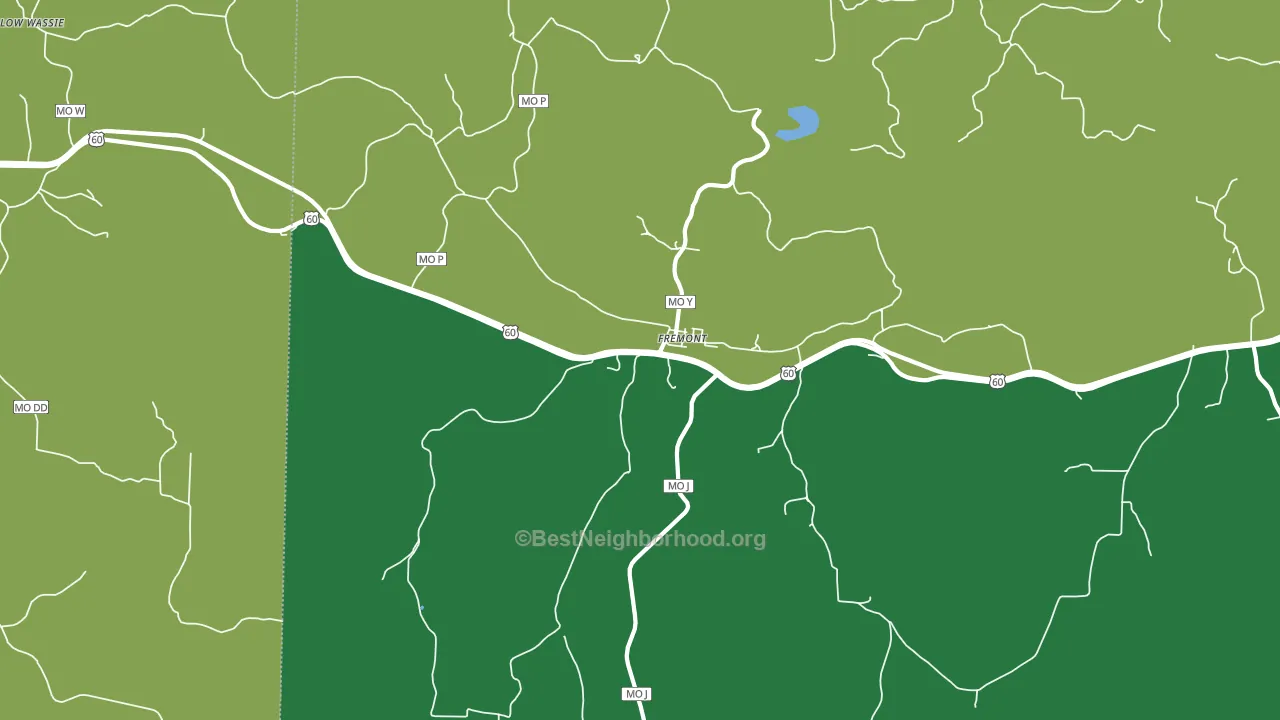 Fremont, MO block-group voter-turnout map
