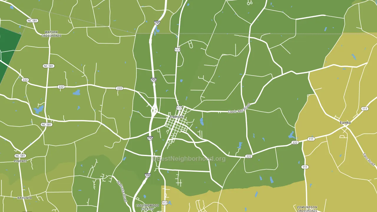 Fremont, NC block-group voter-turnout map