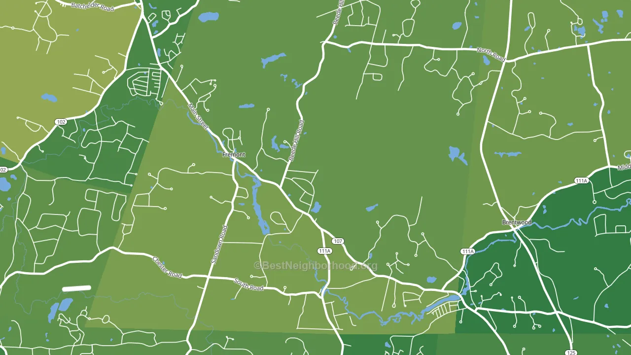 Fremont, NH block-group voter-turnout map