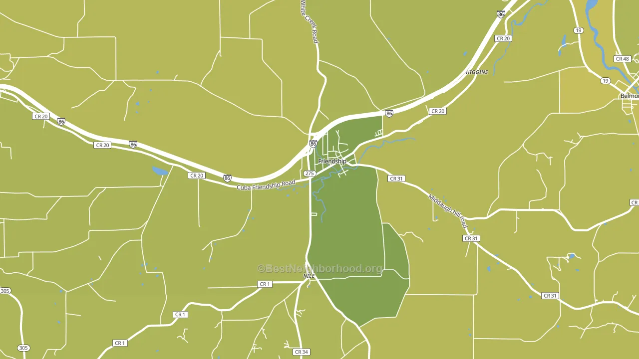 Friendship, NY block-group voter-turnout map