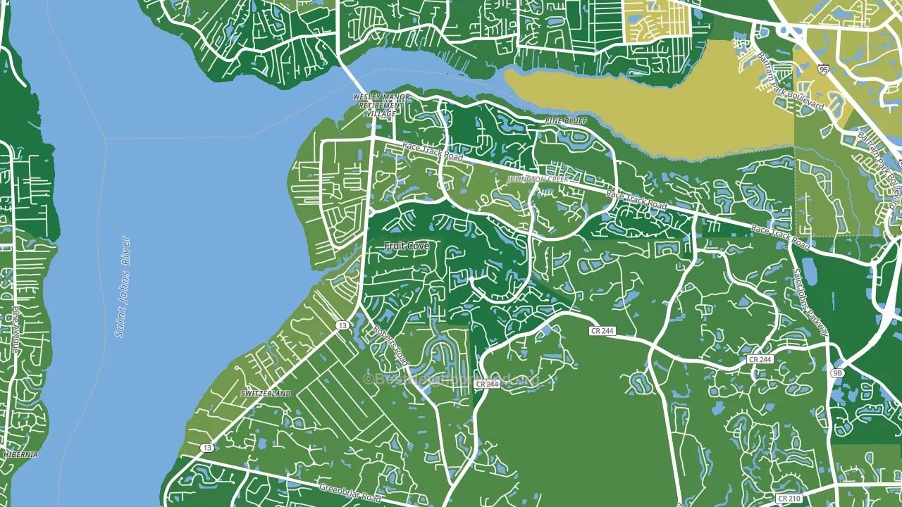 Fruit Cove, FL block-group voter-turnout map